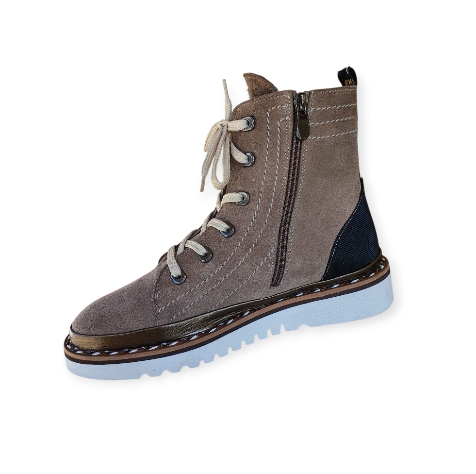 10423 Crosra vison 2